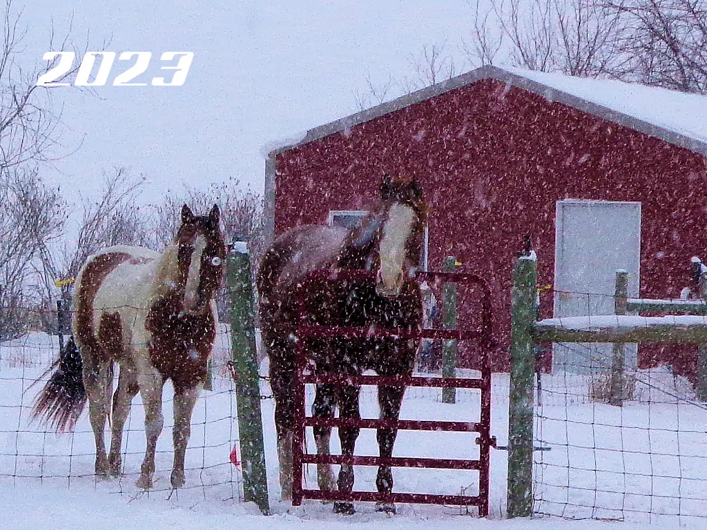 2023