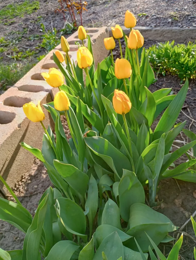 Apr24b-2024
