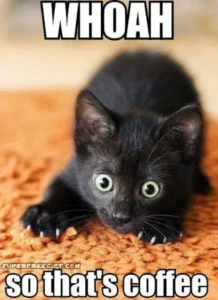whoah that's coffee