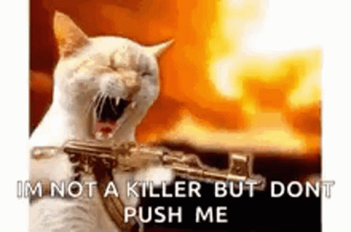 kitty killer