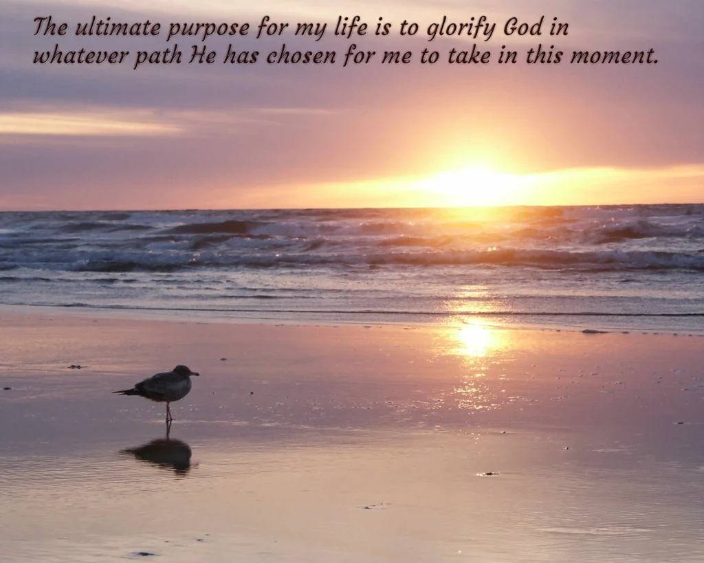 lifepurpose lifepurpose